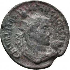 Römische Kaiserzeit: Maximianus Herculius für Galerius Maximianus