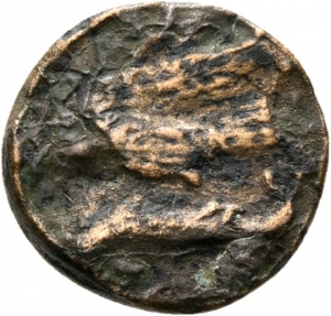 Samartia: Olbia